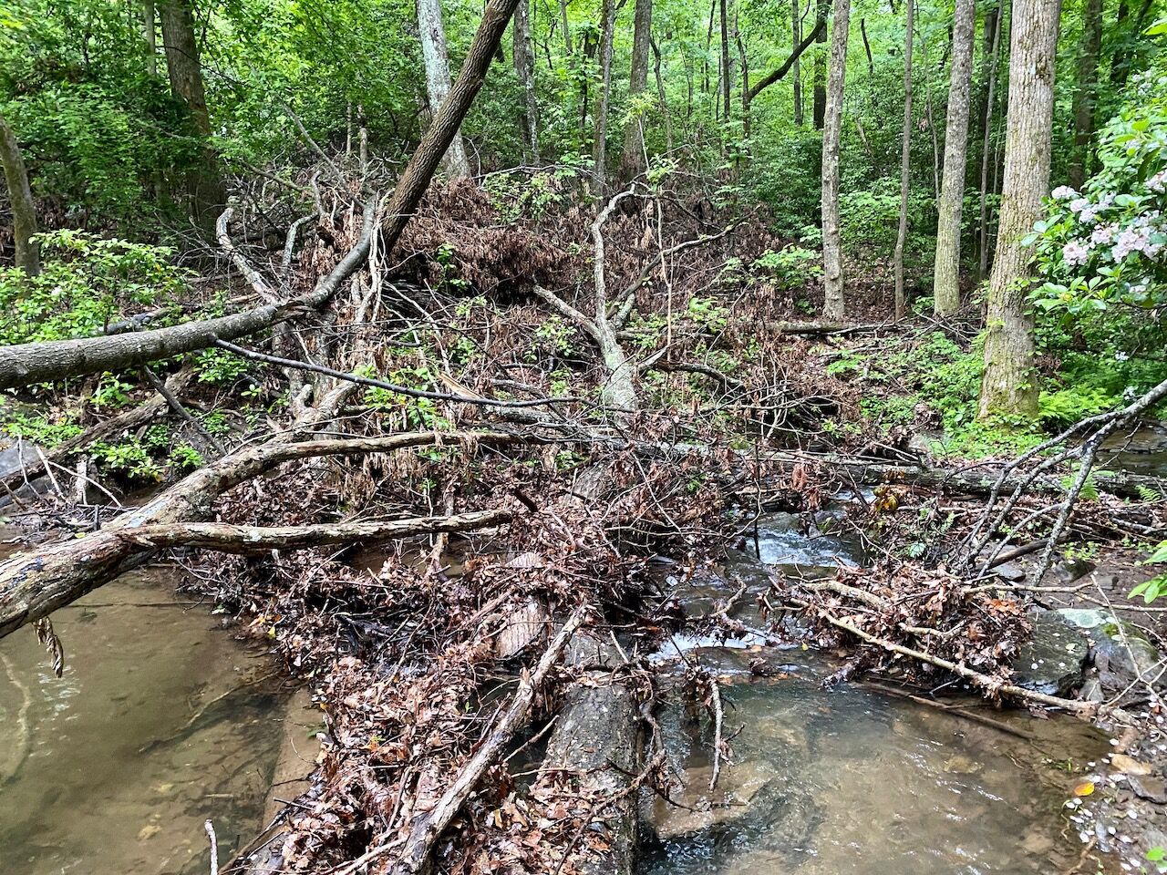 Confluence Point after the June 2019 storm.